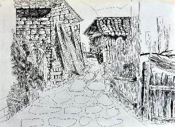 孙晔雯-10动画Y1