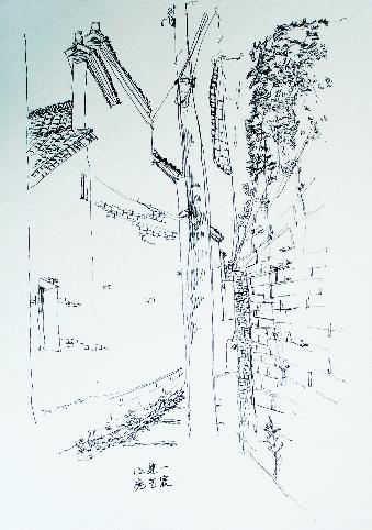三等奖 施艺宸